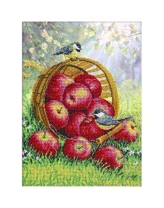 Набор для вышивания Наливные яблочки Паутинка