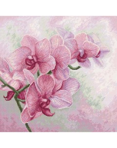 Набор для вышивания Изящные орхидеи Luca-s