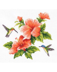 Набор для вышивания Колибри Многоцветница