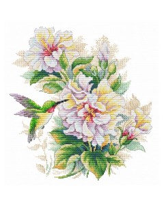 Набор для вышивания Колибри на цветках гибискуса Многоцветница