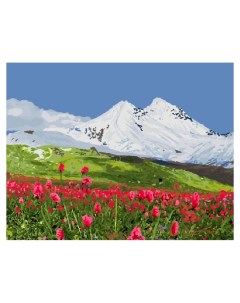Картина по номерам 40х50 на подрамнике Горы в снегу Вангогвомне