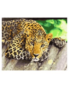 Картина по номерам 40х50 без подрамника Грустный леопард Вангогвомне