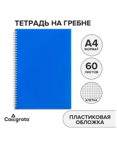 Тетрадь на гребне a4 60 листов в клетку синяя пластиковая обложка блок офсет Calligrata