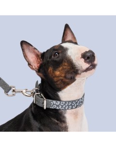 Ошейник для собак из биотана светоотражающий обхват шеи 65 см ширина 2 5 см серый с пятнами Hipet