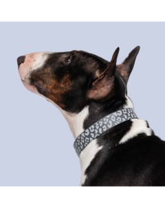 Ошейник для собак из биотана светоотражающий обхват шеи 60 см ширина 2 5 см серый с пятнами Hipet