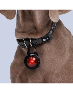 Светодиодный маячок к ошейнику с usb зарядкой для собак красный Hipet