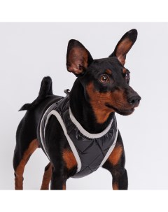 Шлейка со светоотражающей лентой для собак XL обхват груди 40 45 см обхват шеи 29 31 см черная Rurri