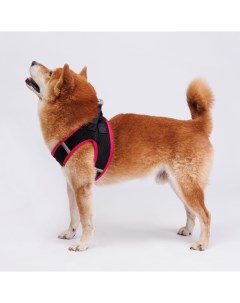 Шлейка жилетка для собак Air обхват груди 50 55 см лента 25 мм розовая Rungo