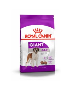 Giant Adult 28 Сухой корм для взрослых собак гигантских пород от 18 24 месяцев и старше 4 кг Royal canin