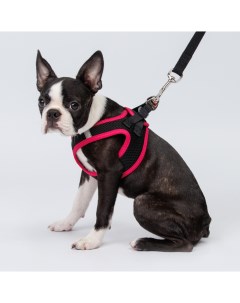 Шлейка жилетка для собак Air обхват груди 35 40 см лента 15 мм розовая Rungo
