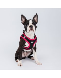Шлейка жилетка для собак Air обхват груди 30 35 см лента 10 мм розовая Rungo
