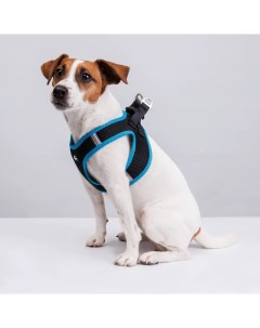 Шлейка жилетка для собак Air обхват груди 30 35 см лента 10 мм голубая Rungo