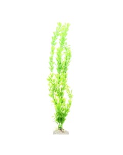 Растение зеленое 40см Aquafantasy