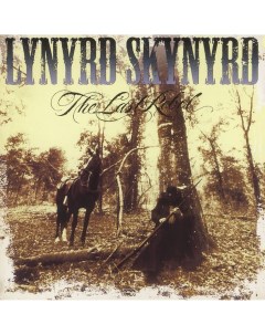 Lynyrd Skynyrd Last Rebel LP Music on vinyl