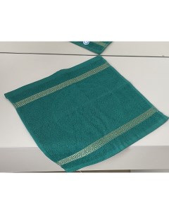 Махровое полотенце с греческим бордюром Зеленый 30х30 Nobrand