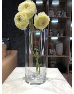 Ваза для цветов Pasabahce Трубка 25 см Прозрачная 1 шт Aras flowers