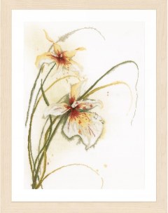 Набор для вышивания Орхидея Lanarte