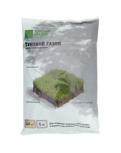 Семена газонной травы Теневой газон 1 кг Зеленый квадрат
