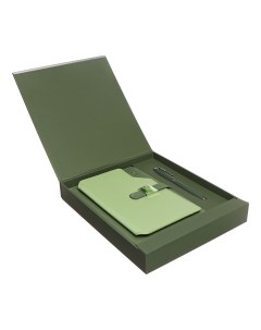 Органайзер на кольцах а6 80 листов кожзам c хлястиком линия с ручкой в подарочной коробке зеленый Calligrata