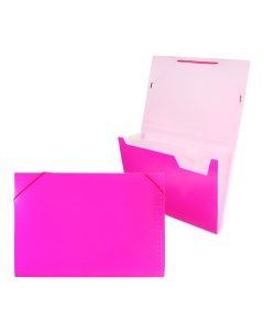 Папка картотека неон 13 отдел a4 пластик 0 7мм фуксия рез в цвет Calligrata