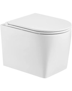 Унитаз подвесной Nesenbach 10000008265 с сиденьем микролифт, белый Weltwasser