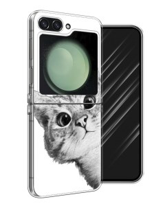 Чехол на Samsung Galaxy Z Flip 6 Кот рисунок черно белый Awog