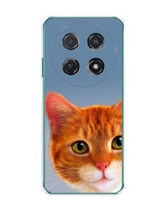 Чехол на Huawei Nova 12i Любопытный котик Case place