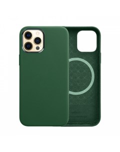 Чехол WiWU Magnetic Leather Case для iPhone 13 Pro 6 1inch Dark Green Nobrand