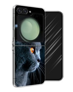 Чехол на Samsung Galaxy Z Flip 6 Благородный кот британец Awog