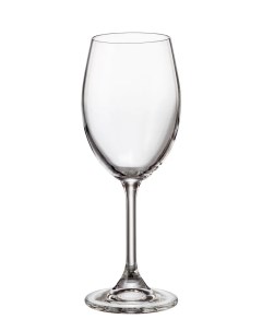 Набор бокалов для вина Sylvia Klara 250 мл 6 шт Crystalite bohemia