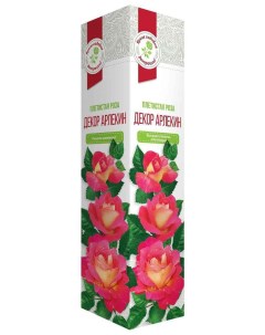 Плетистая роза Декор Арлекин 40 см Русский огород