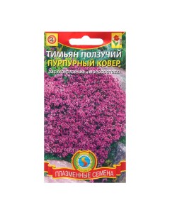Семена Тимьян ползучий Пурпурный ковер 4 шт Плазмас