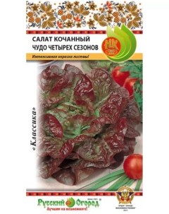 Семена салат Чудо 4 х сезонов 5шт Русский огород
