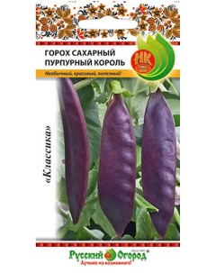 Семена горох Пурпурный Король art0009 psams4415 5 шт Русский огород