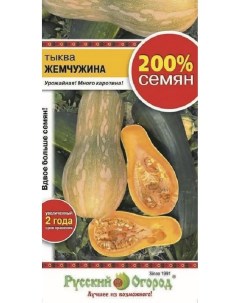 Семена тыквы Жемчужина art0009 psams4267 1шт Русский огород