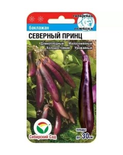 Семена баклажан Северный принц art0009 psams4398 5шт Сибирский сад