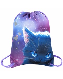 Мешок для обуви Anime cat сумка для сменки в школу чехол с карманом подкладкой Brauberg