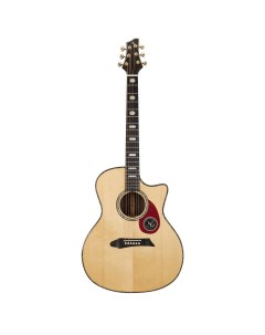 Акустическая гитара RM411SC Ng