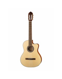Классическая гитара PC110 WBAG OP цвет орех с чехлом Parkwood