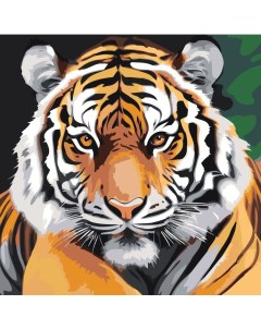 Картина по номерам Тигр крупным планом Цветное