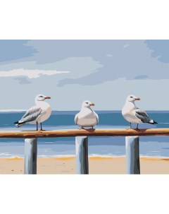 Картина по номерам Море Чайки на пляже 2 Цветное