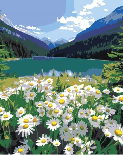 Картина по номерам Природа Пейзаж с полем ромашек и горным озером 2 Цветное