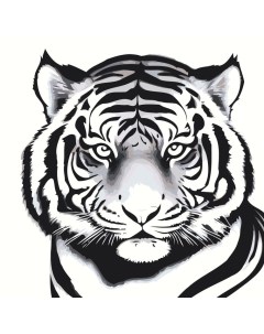 Картина по номерам Черно белый тигр Цветное