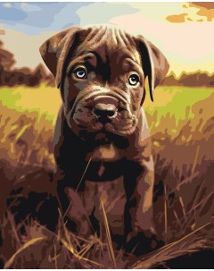 Картина по номерам Собака Кане корсо щенок на лугу Цветное