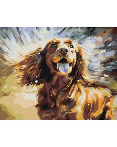 Картина по номерам Собака Спаниель и брызги воды Цветное