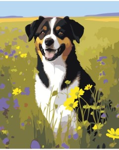 Картина по номерам Собака в цветочном поле Цветное