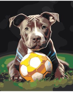 Картина по номерам Собака Стаффорд Стаффордширский терьер щенок Цветное