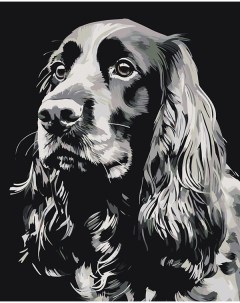 Картина по номерам Собака Спаниель черная Цветное