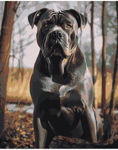 Картина по номерам Собака Кане корсо в осеннем лесу Цветное