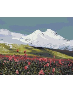 Картина по номерам Пейзаж гора Эльбрус в снегу и цветы 2 Цветное
